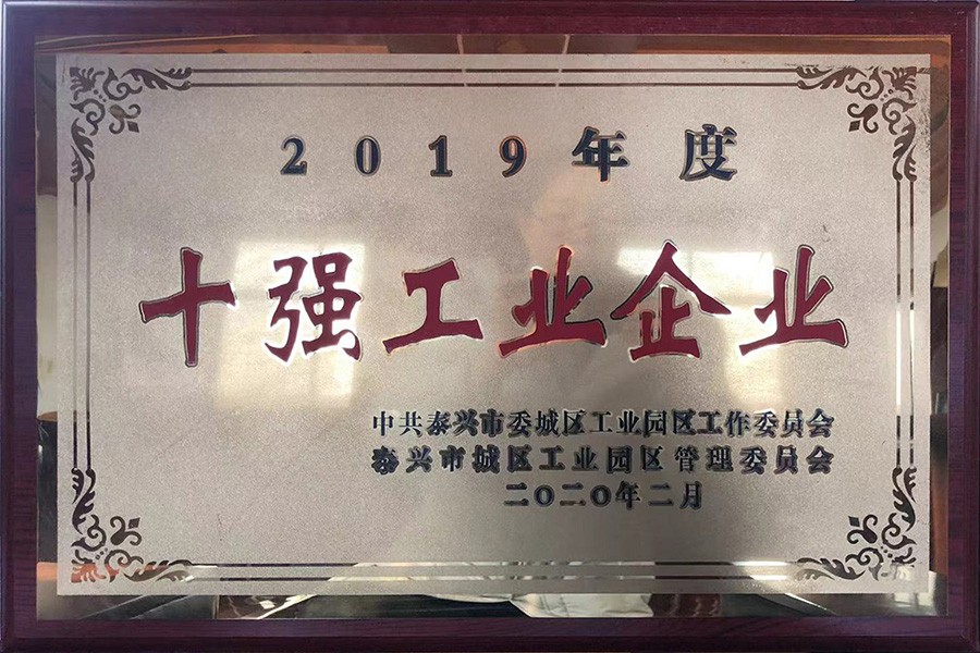 2019年度十强工业企业